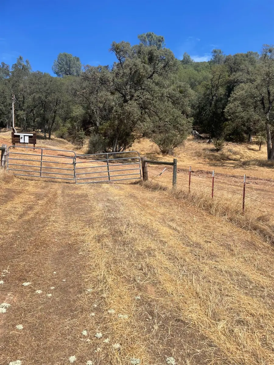 2559 Appaloosa Way, Angels Camp, CA 95222 - #3