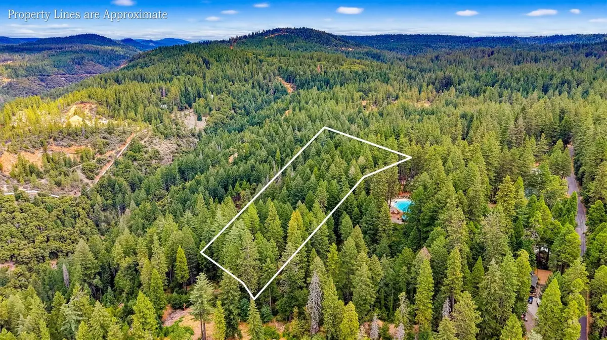1046 Mattel Dr, Dutch Flat, CA 95714 - #1