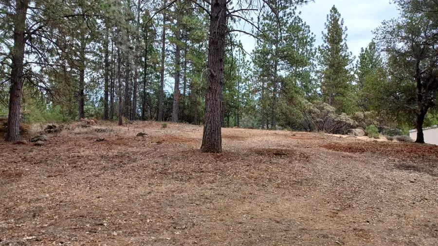 18885 Norlene Way, Grass Valley, CA 95949 - #3