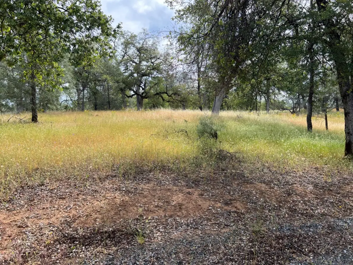 8439 Oak Ridge Road, Mountain Ranch, CA 95246 - #1