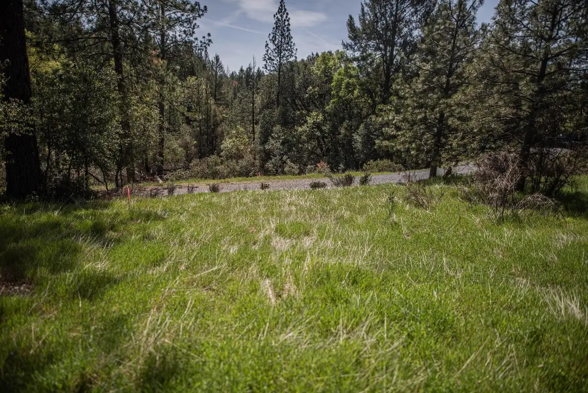 464 Highway 193, Greenwood, CA 95635 - #1