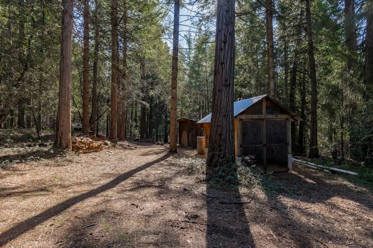 0 Gold Creek Trail, Volcano, CA 95689 - #1