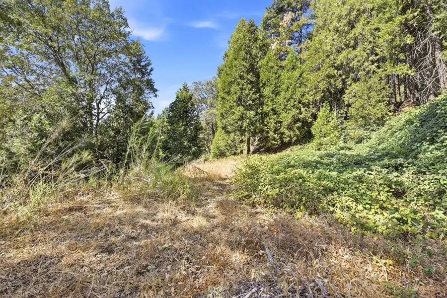3124 Meyers Road, Camino, CA 95709 - #2
