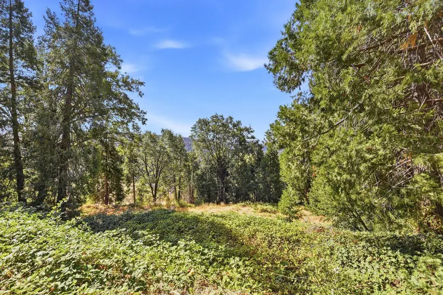 3124 Meyers Road, Camino, CA 95709 - #3