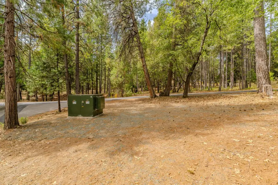 12900 Tabeaud Road, Pine Grove, CA 95665 - #2
