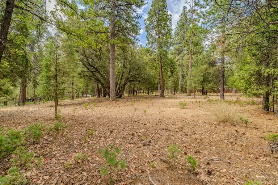 0 Tabeaud Road, Pine Grove, CA 95665 - #2