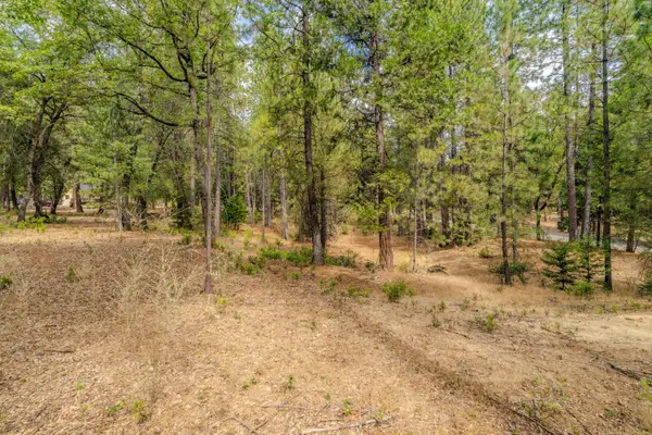 20841 French Gulch Road, Pine Grove, CA 95665