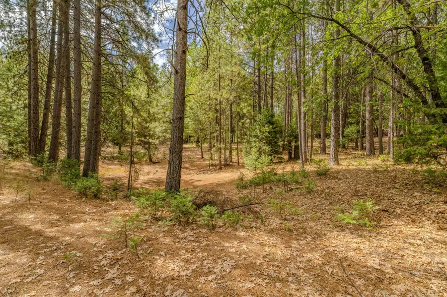 20841 French Gulch Road, Pine Grove, CA 95665 - #2
