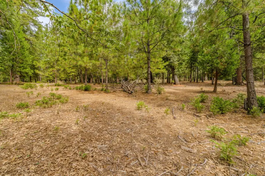 20841 French Gulch Road, Pine Grove, CA 95665 - #3