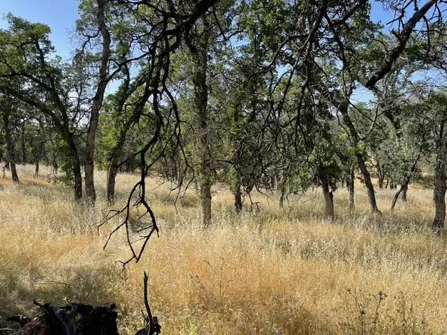 0 Hammonton-smartsville, Smartsville, CA 95977 - #2