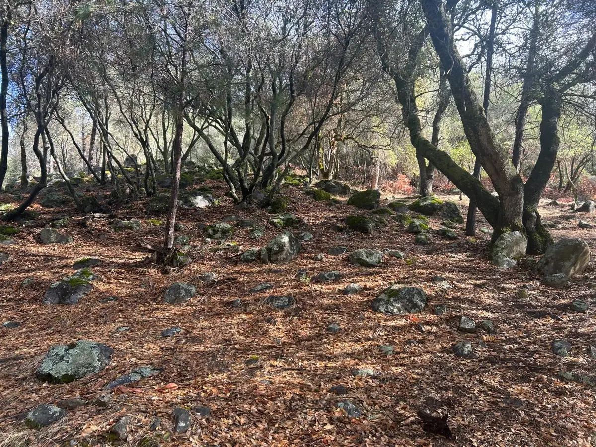 13639 Sun Forest Drive, Penn Valley, CA 95946 - #1