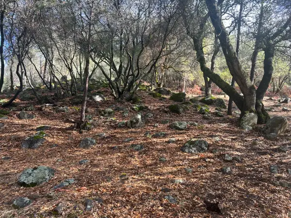 13639 Sun Forest Drive, Penn Valley, CA 95946
