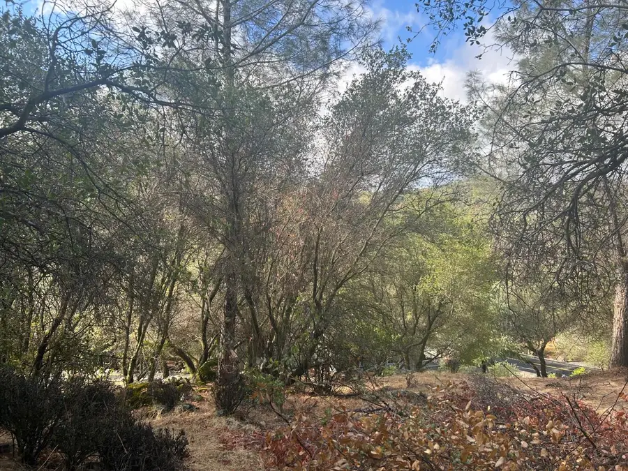 13639 Sun Forest Drive, Penn Valley, CA 95946 - #2
