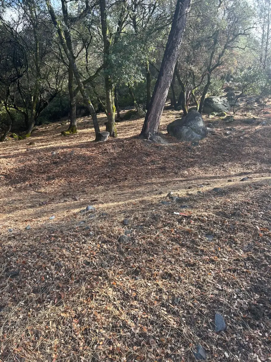 13639 Sun Forest Drive, Penn Valley, CA 95946 - #3
