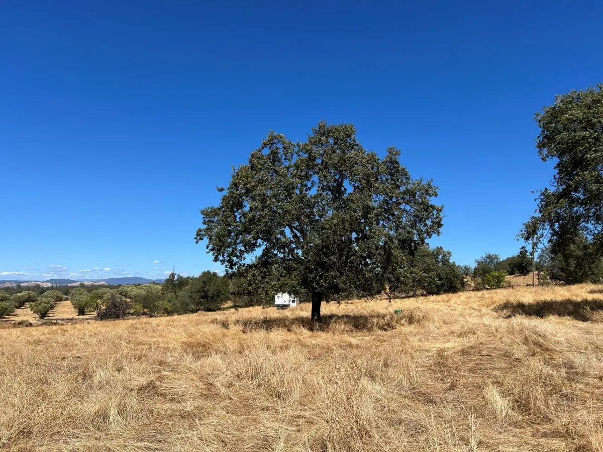 50 District Center Drive, Oroville, CA 95966 - #1