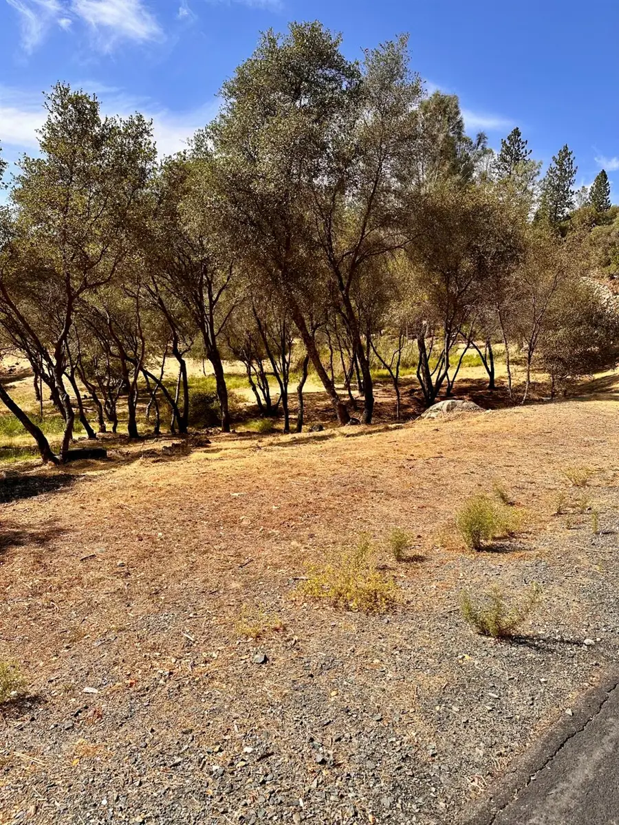 2050 Long View Drive, Meadow Vista, CA 95722 - #2