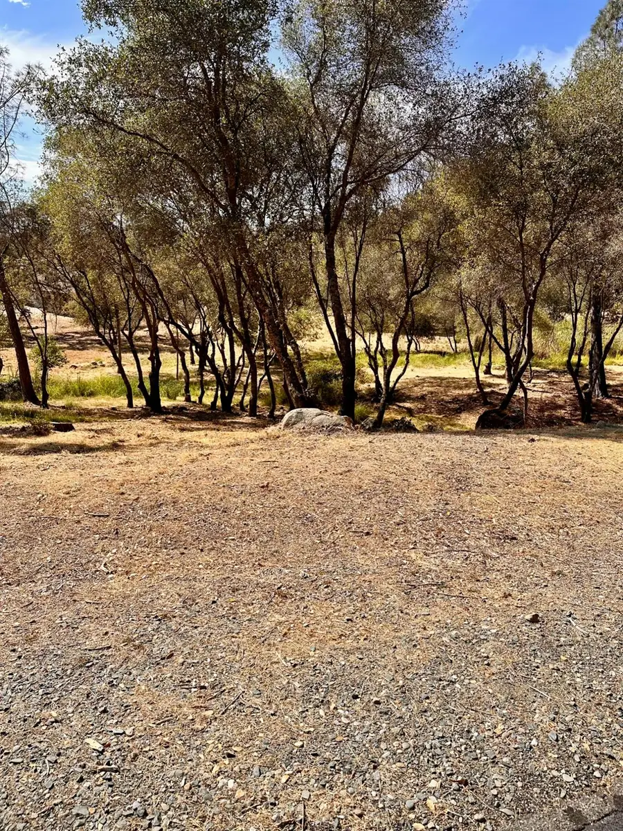 2050 Long View Drive, Meadow Vista, CA 95722 - #3