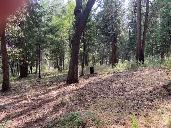 5869 Pony Express Trl, Pollock Pines, CA 95726
