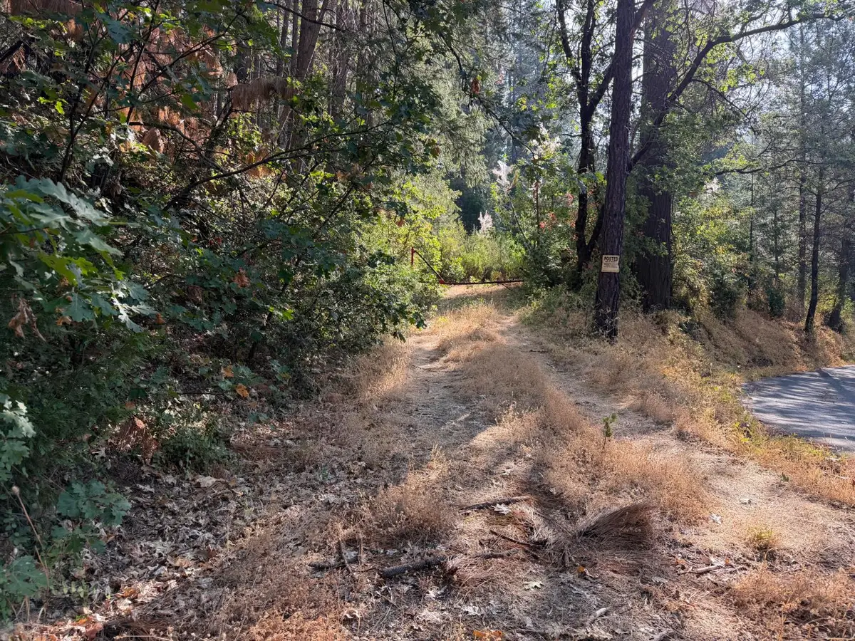 27999 Big Dipper Road, Foresthill, CA 95631 - #1
