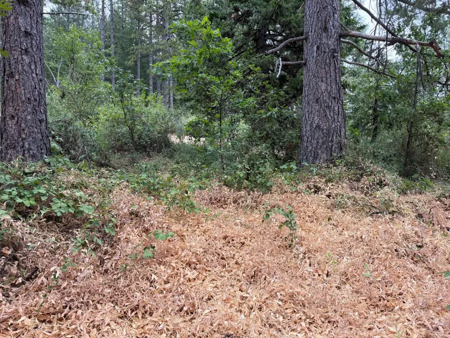 27999 Big Dipper Road, Foresthill, CA 95631 - #3