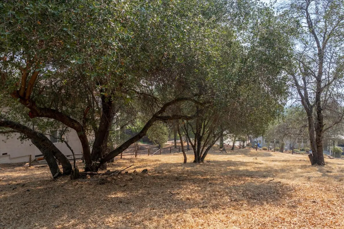 736 Live Oak, Angels Camp, CA 95222 - #1