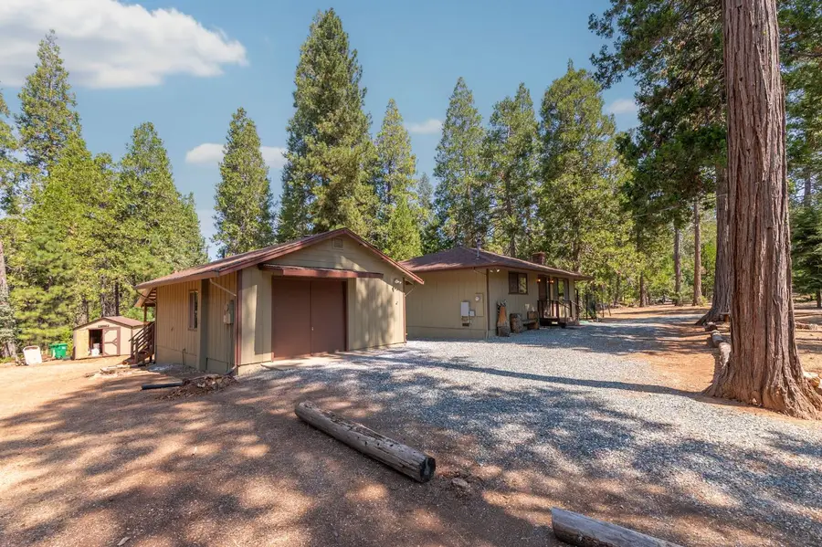 19155 Pine Drive, Pioneer, CA 95666 - #2