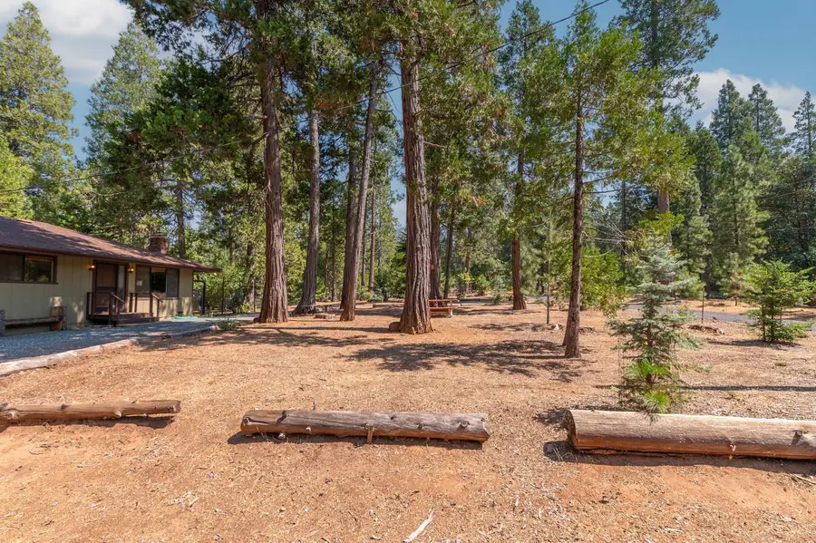 19155 Pine Drive, Pioneer, CA 95666 - #3