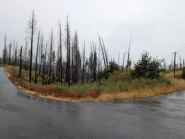 7290 Grizzly Creek Drive, Grizzly Flats, CA 95636