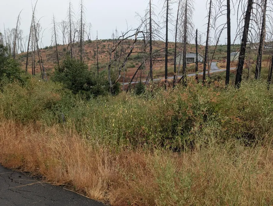 7290 Grizzly Creek Drive, Grizzly Flats, CA 95636 - #2