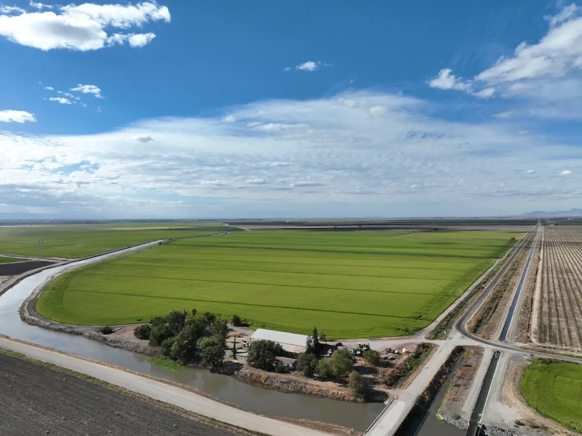 3970 County Road 95b, Knights Landing, CA 95645 - #1