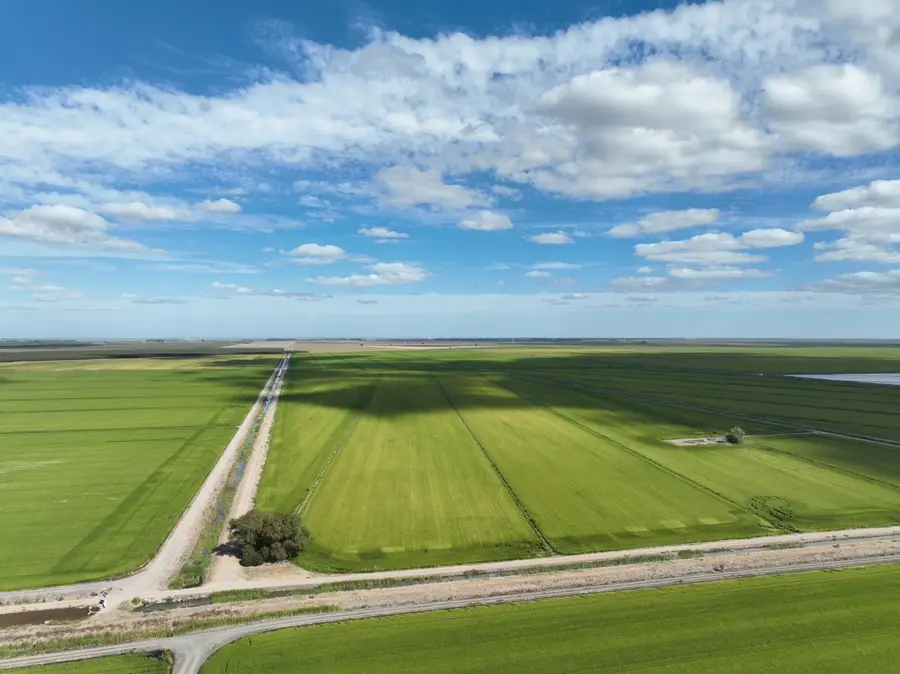 3970 County Road 95b, Knights Landing, CA 95645 - #3