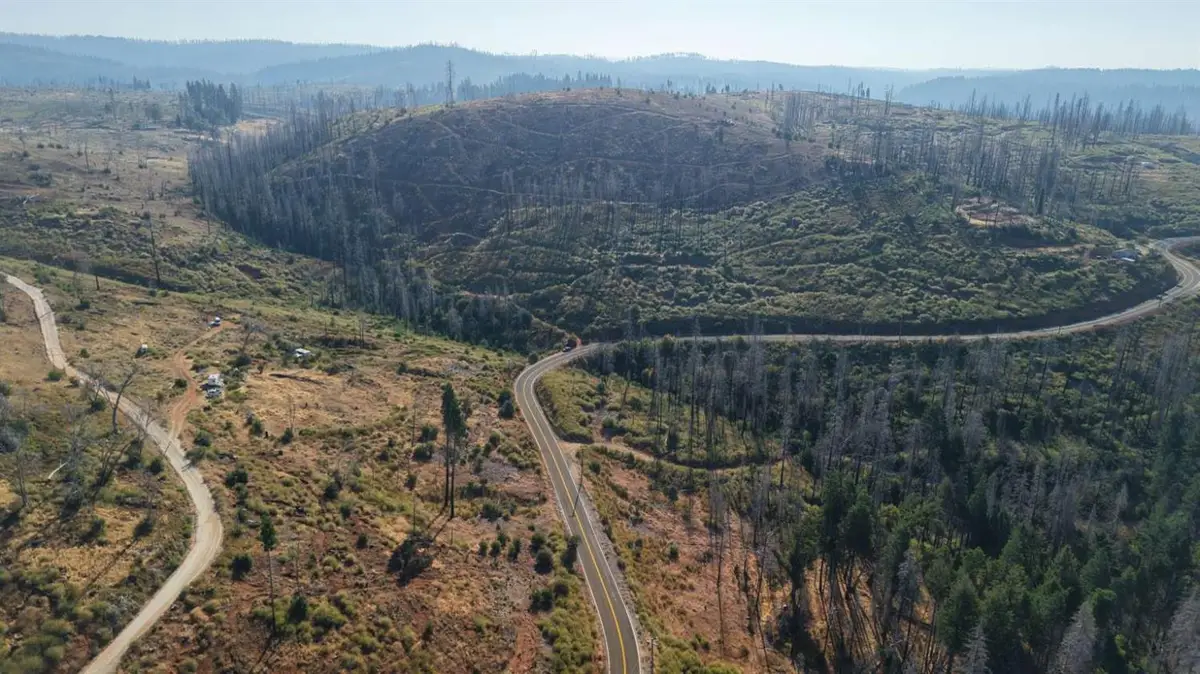 17 String Canyon Road, Grizzly Flats, CA 95636 - #1