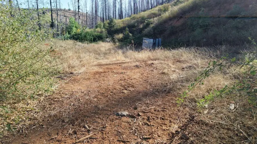 17 String Canyon Road, Grizzly Flats, CA 95636 - #3