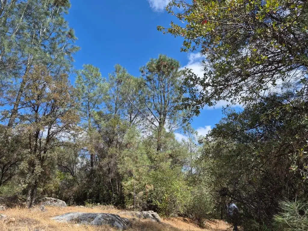 19606 Valley Vista Way, Penn Valley, CA 95946 - #1