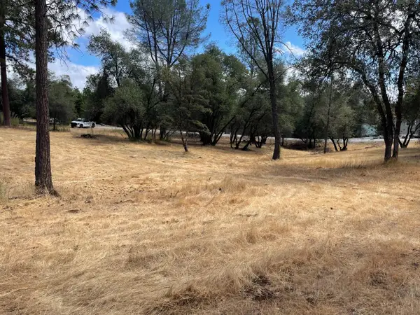 349 Cuckoo Court, Applegate, CA 95703