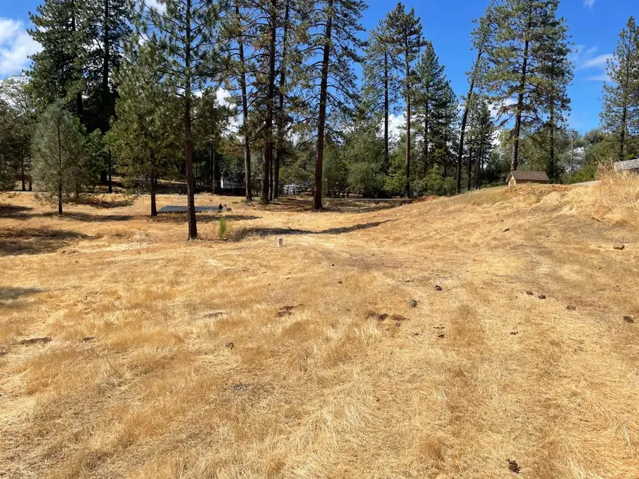 349 Cuckoo Court, Applegate, CA 95703 - #3