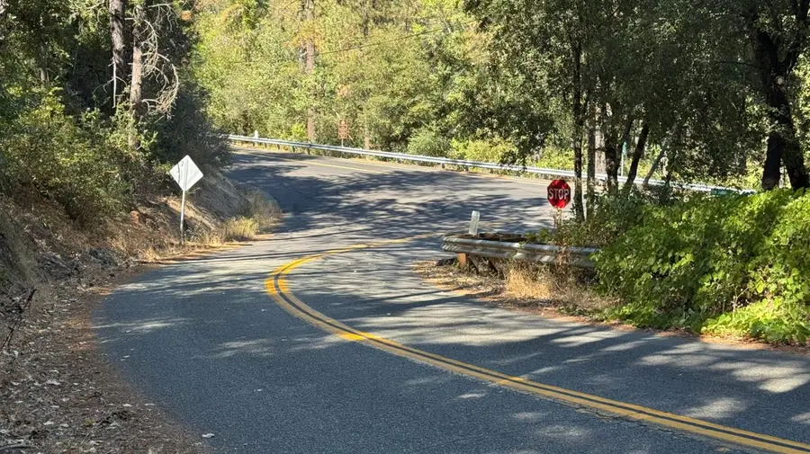25 Foreman Creek Road, Berry Creek, CA 95916 - #2