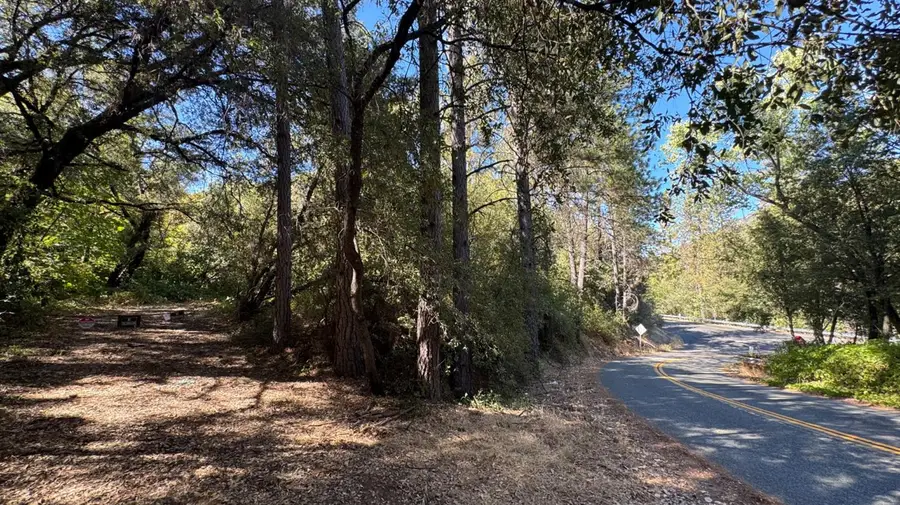 25 Foreman Creek Road, Berry Creek, CA 95916 - #3
