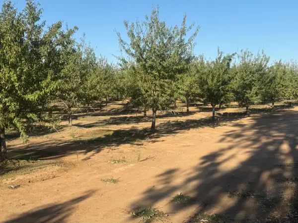 7967 Nicolaus Road, Lincoln, CA 95648