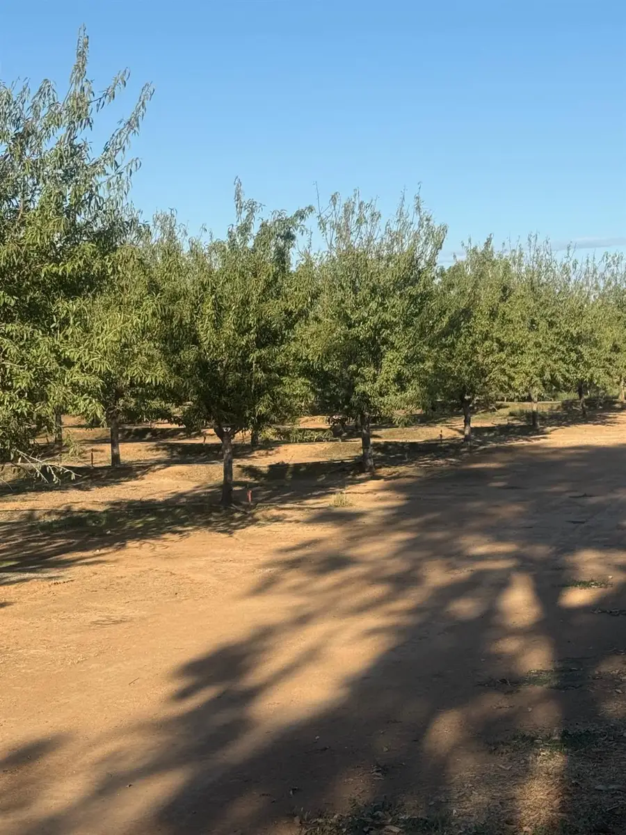 7967 Nicolaus Road, Lincoln, CA 95648 - #2