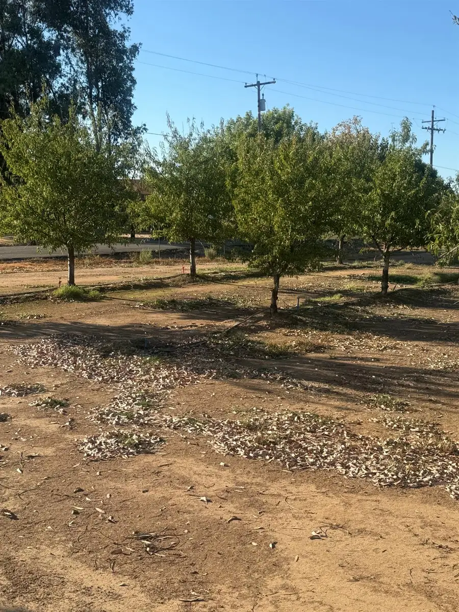 7967 Nicolaus Road, Lincoln, CA 95648 - #3