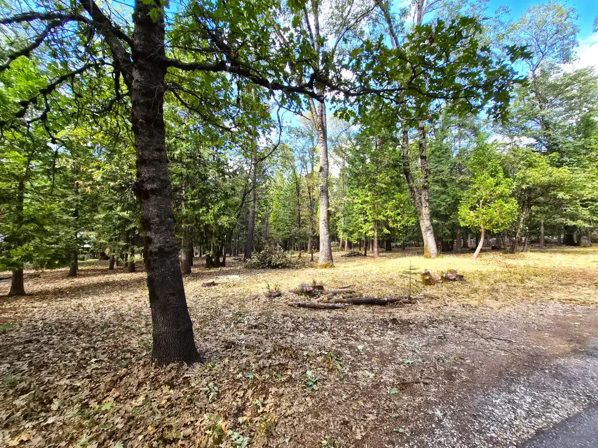 13117 Madrone Forest Drive, Nevada City, CA 95959 - #1