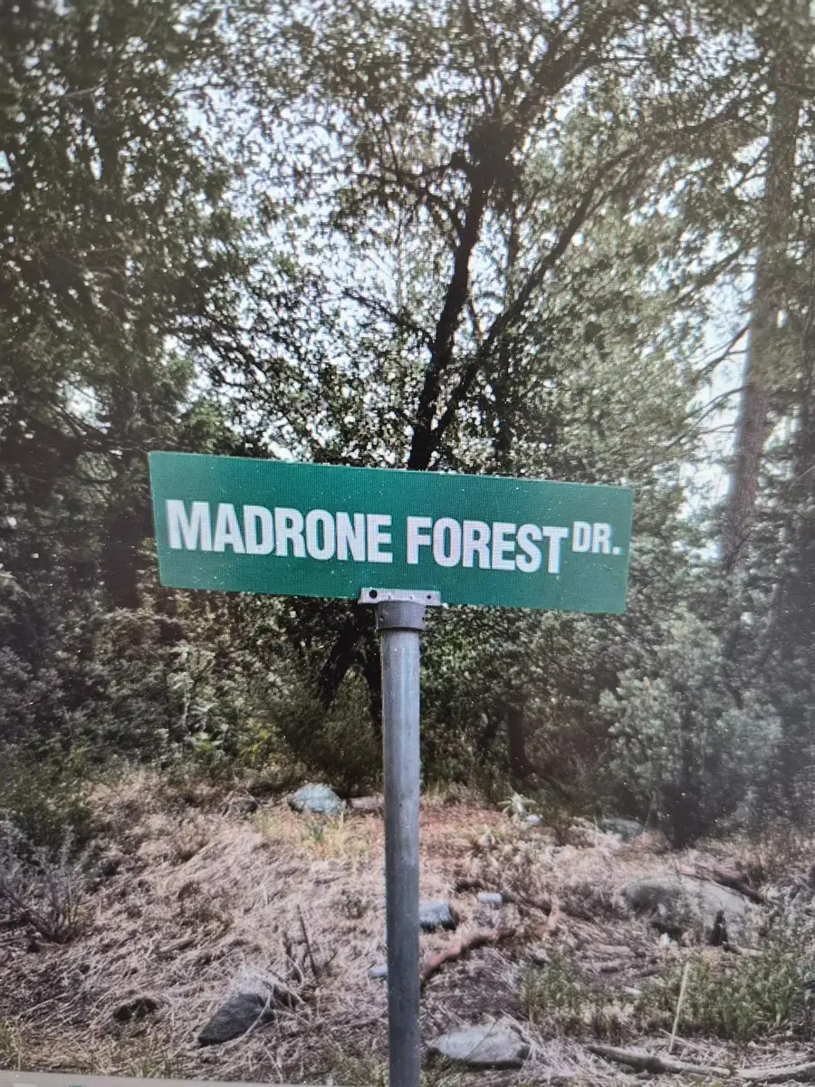 13117 Madrone Forest Drive, Nevada City, CA 95959 - #2