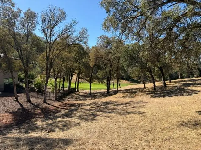 13042 Austin Forest Circle, Auburn, CA 95602 - #1