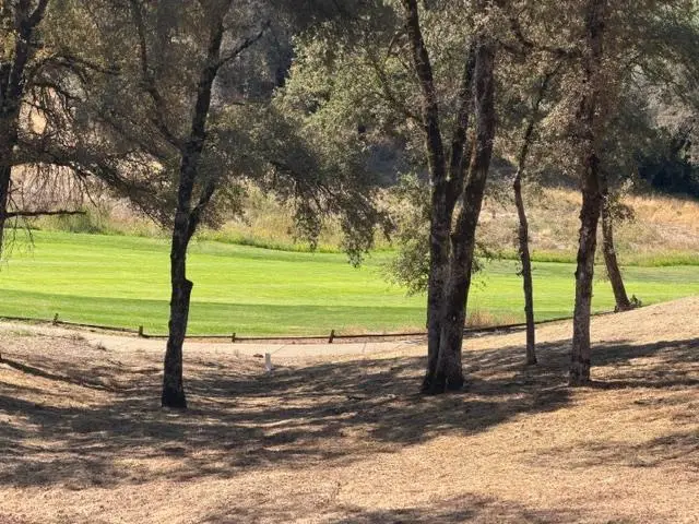 13042 Austin Forest Circle, Auburn, CA 95602 - #2