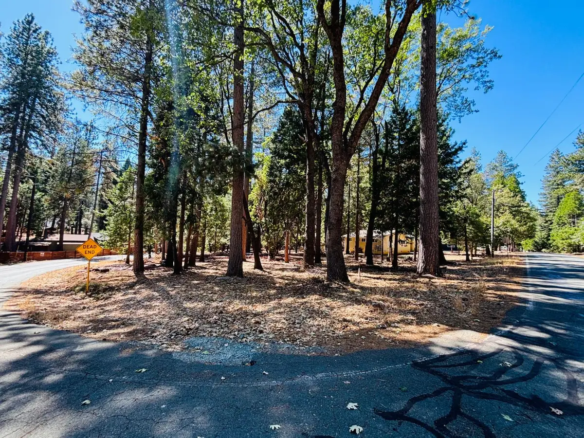 23920 Carson Drive, Pioneer, CA 95666 - #1