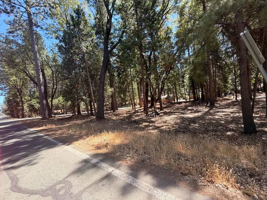 23920 Carson Drive, Pioneer, CA 95666 - #2