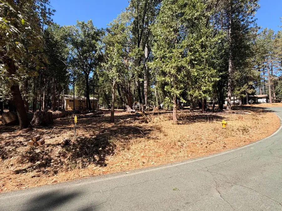23920 Carson Drive, Pioneer, CA 95666 - #3