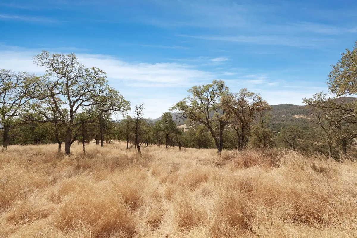 7425 Cincha Street, Angels Camp, CA 95222 - #1