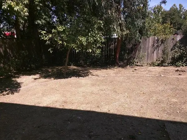 1331 Drake Drive, Davis, CA 95616 - #3